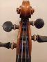 Майсторска цигулка C. G. Glier&Sohn Markneukirchen, снимка 12