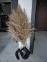 Чисто нов букет от естествена пампаска трева, снимка 2