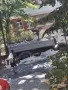 Кърти чисти извозва , снимка 1