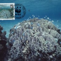 Тувалу 1992 - 4 броя Карти Максимум - WWF, снимка 1 - Филателия - 38788960
