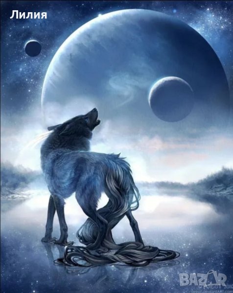 5D  Диамантен гоблен, снимка 1