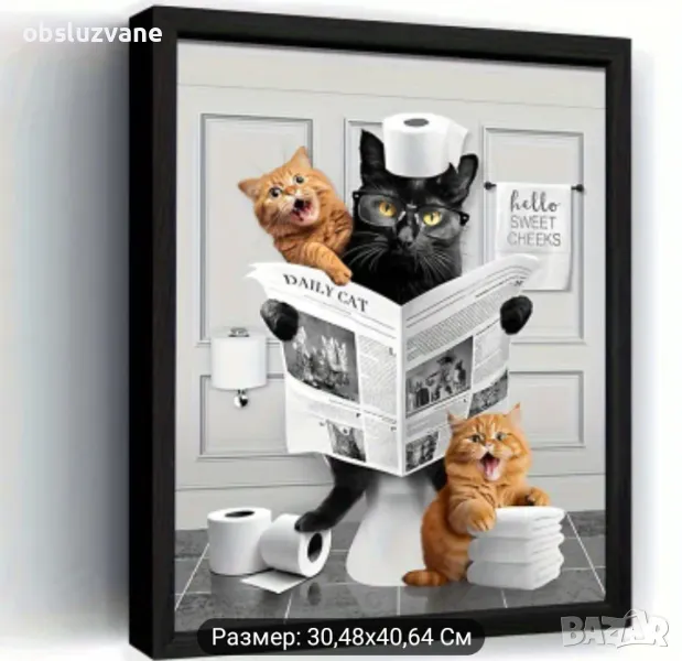 Четящата котка, снимка 1