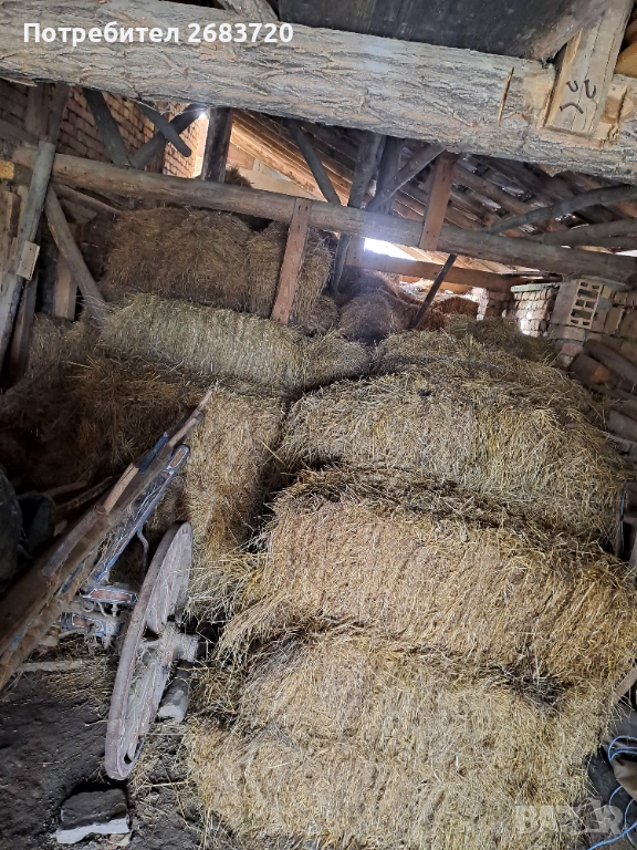 Бали  сено 3 евро бр. , снимка 1