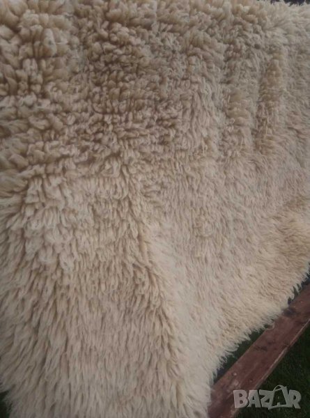 Китеник, халище,губер, снимка 1