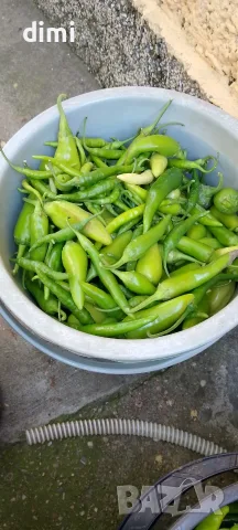 Продавам Люто от Нашата Градина🌶️🌶️🌶️ 