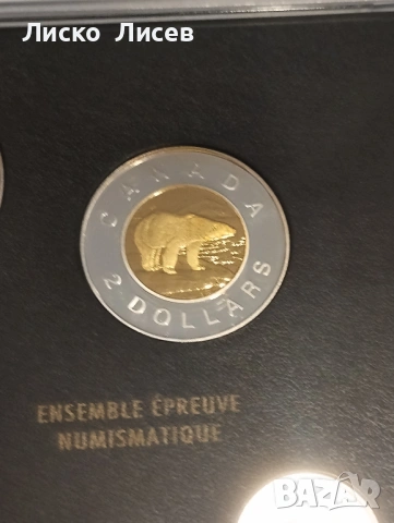 Канада сет мат-гланц 2000г., снимка 6 - Нумизматика и бонистика - 54289831