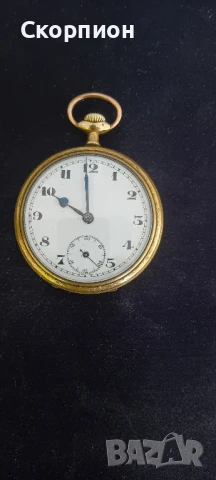 Швейцарски джобен часовник - 10 РУБИНА - ПРОМОЦИЯ, снимка 13 - Джобни - 48554694