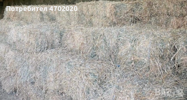 Бали ЛЮЦЕРНА, снимка 2 - За селскостопански - 53915818