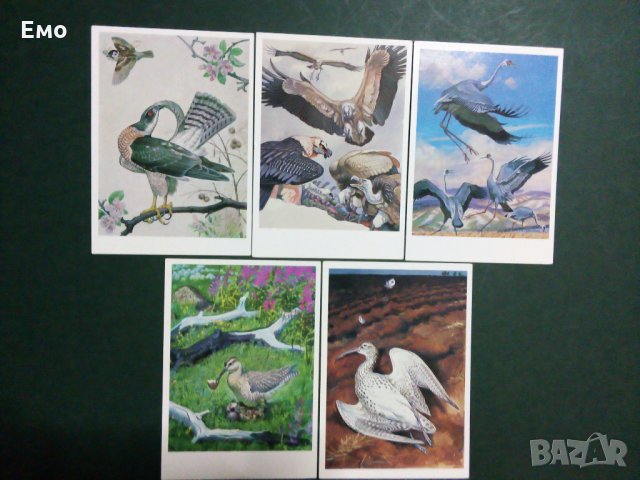 За Ценители и Колекционери! Изключително редки и отлично запазени руски комплекти картички(3)!, снимка 5 - Колекции - 31367025