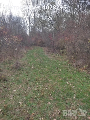 Имот в с.Габер , снимка 6 - Парцели - 53981887