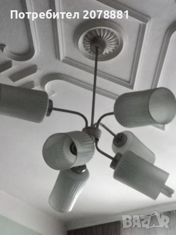 Полилей, снимка 5 - Полилеи - 51265368