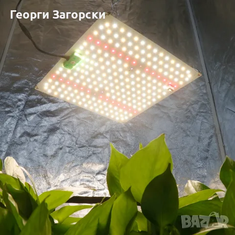 LED осветително тяло за отглеждане растения FRGROW 600W, снимка 6 - Градинска техника - 55075871
