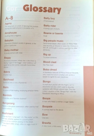 ПРОДАВАМThe Rough Guide to Reggae – 3rd Edition, снимка 12 - Колекции - 54157445