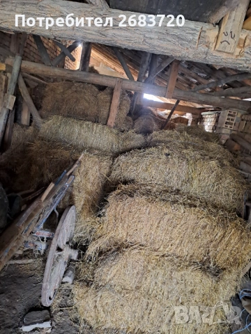 Бали  сено 3 евро бр. 