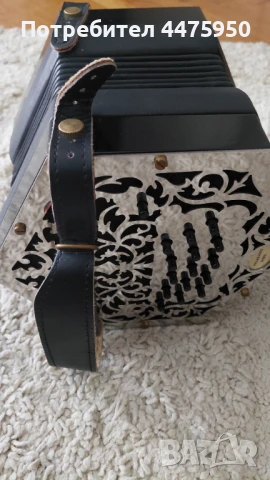 Англо концертина McNeela Swan C/G 30 копчета, снимка 2 - Акордеони - 51273707