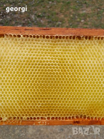 изградени пчелни пити магазинни и фарар, снимка 3 - За пчели - 44472230