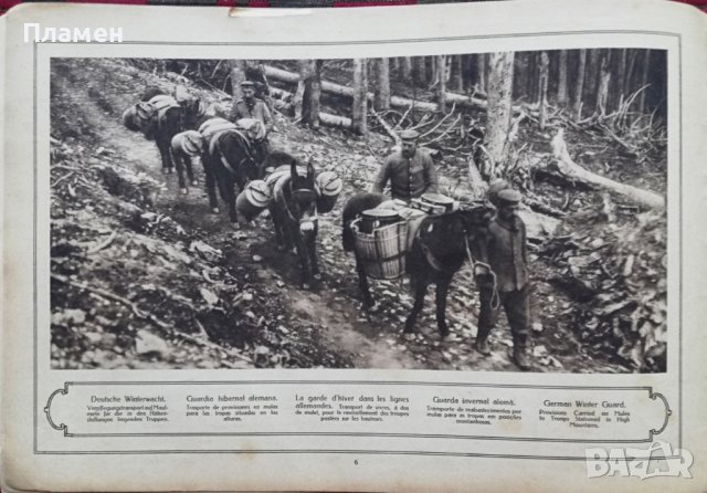 Голямата война въ картини. Кн. 26 / 1917, снимка 6 - Антикварни и старинни предмети - 36822785