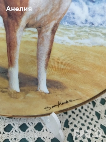 Колекционерски чинии Боксер, снимка 18 - Декорация за дома - 51883321