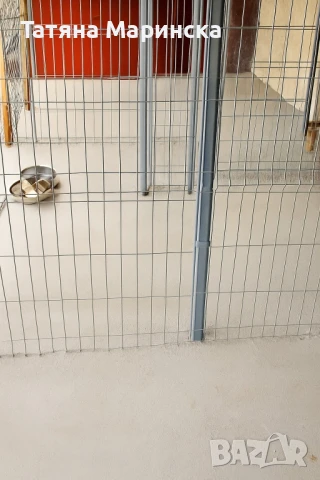 Хотел за кучета-простор, грижа и уют, снимка 2 - Други - 51058680