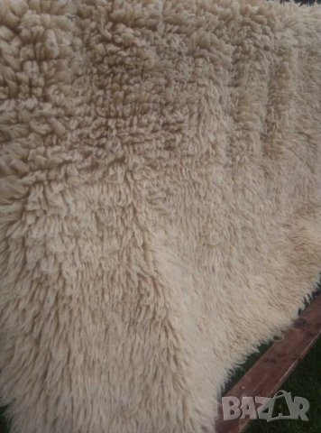 Китеник, халище,губер