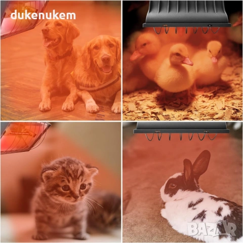 Инфрачервена отоплителна лампа 175W двустепенно регулиране, защита от прегряване и водоустойчив корп, снимка 6 - За птици - 53041446