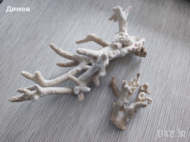 Естествени корали Корал Аквариум Декорация, снимка 3 - Други - 54075409