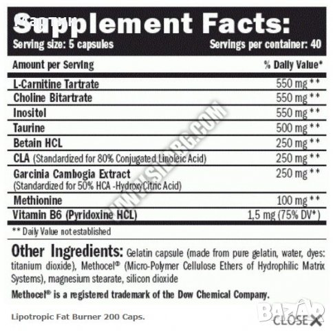  AMIX Lipotropic Fat Burner 200 Caps. - Изгаряне на Мазнини, снимка 2 - Хранителни добавки - 34551596