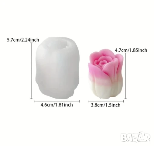 Молдове лалета 2 вида , снимка 3 - Форми - 50741662