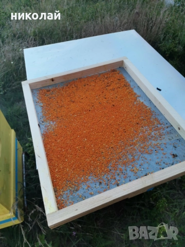 Продавам чист домашен пчелен мед и пчелен прашец , снимка 8 - Пчелни продукти - 51852441