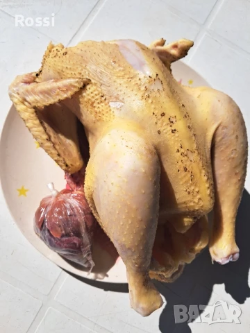 ЗРЯЛО КОЗЕ СИРЕНЕ;птиче месо/ домашно, снимка 6 - Домашни продукти - 46237896