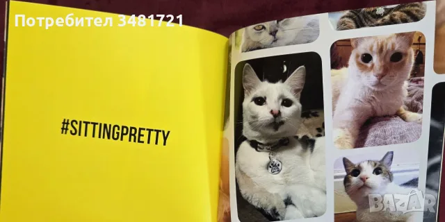 Cat Selfies албум     , снимка 7 - Изкуство, музика, кино и фотография - 55817036