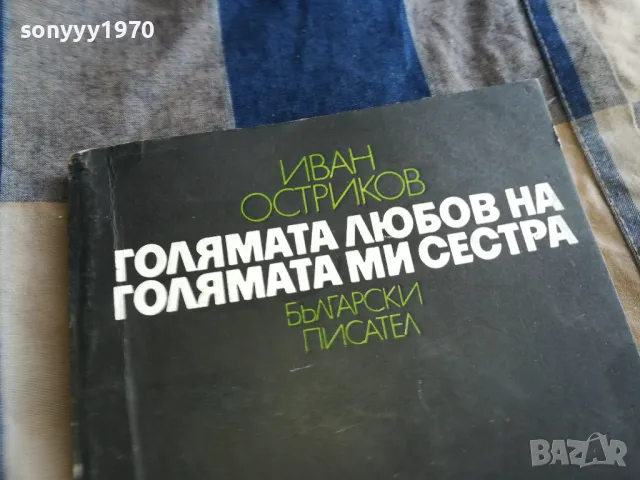 ГОЛЯМАТА ЛЮБОВ НА ГОЛЯМАТА МИ СЕСТРА 0405251811, снимка 2 - Художествена литература - 50154047