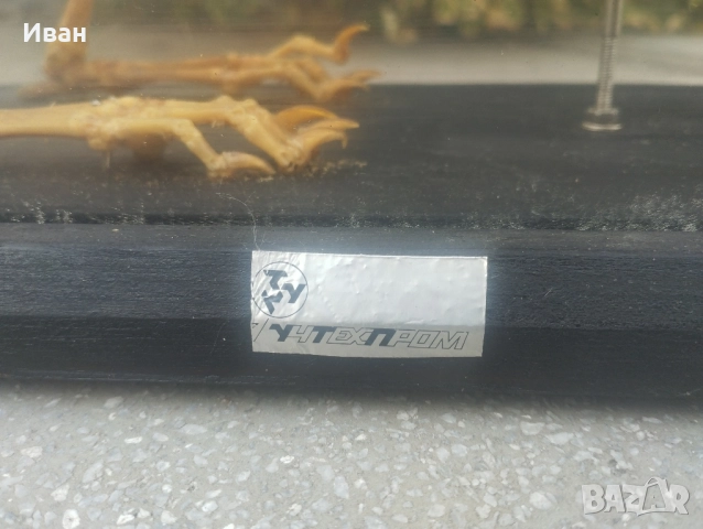 Соц Скелет на заек , снимка 6 - Колекции - 51686534