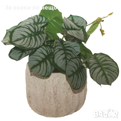 Декоративно растение в кашпа, 20см  Код P1030
