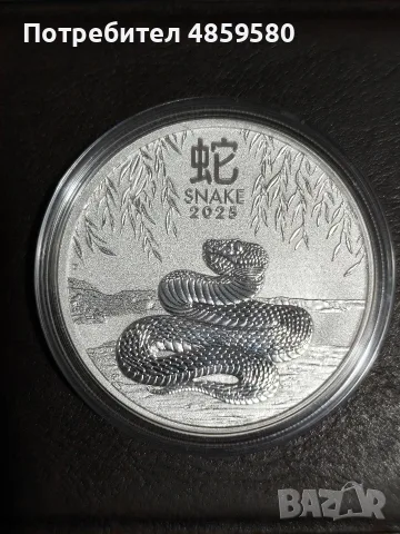 1 oz Сребърен Лунар Змия 2025 унция монета 