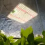 LED осветително тяло за отглеждане растения FRGROW 600W, снимка 6