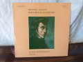 Julian Von Karolyi, Frédéric Chopin ‎– Berühmte Klavierwerke, снимка 1 - Грамофонни плочи - 30518147