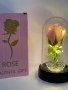 Вечни светещи рози "2 на цената на 1", снимка 1 - Други - 44484157