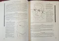 Дим-мак - енциклопедия на бойното докосване на смъртта / The Encyclopedia of Dim-Mak, снимка 7