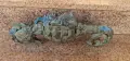 Морско конче от дъното на черно море с патина изцяло медно 3.100кг вероятно от потънал кораб , снимка 2