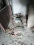 Помпа за вода трифазна, снимка 1