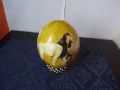 щраусово яйце от Африка, снимка 4