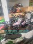 АТВ Кубратово- склад с НАД 50 модела АТВта и кросови-50сс,110/125cc,150cc,200cc,250cc,300cc,350cc, снимка 9