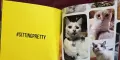Cat Selfies албум     , снимка 7