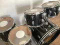 Ludwig Black Cortex Classic Maple USA, снимка 6