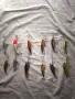 Комплект 12 бр. воблери – 5x Bassdream, 4x Rapala, 2x Salmo, Cordell, снимка 1
