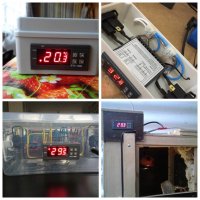 Цифров контролер за температура с 1 сензор, термостат, терморегулатор 12V, снимка 5 - Друга електроника - 37221498