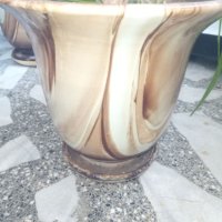 Кактус 2m+, красиво оформен с малки палми в красива керамична саксия. Идеален за офис, лоби, хол!, снимка 5 - Стайни растения - 42722920