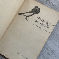 Отглеждане на гълъби Стефан Тончев , снимка 4 - Гълъби - 44252307