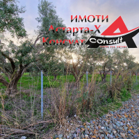 Астарта-Х Консулт продава парцел в Агиос Мамас Халкидики Гърция , снимка 2 - Земеделска земя - 44735140